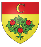 Pompes Funèbres sur Camaret-sur-Aigues