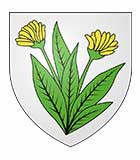 Pompes Funèbres sur Garéoult