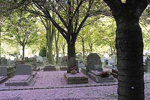 Concession Cimetière à Falleron