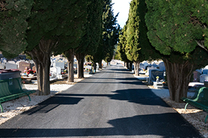 Concession Cimetière