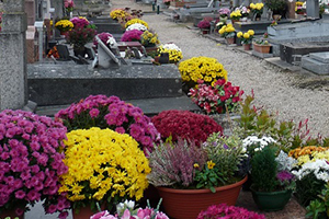 Concession Cimetière