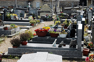 Concession Cimetière de Saméon