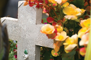 Fleurs Cimetière