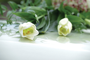 Fleurs Cimetière