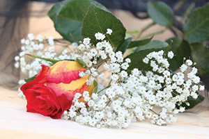 Fleurs Cérémonie
